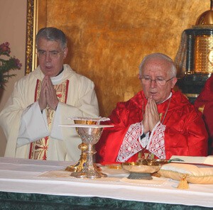 Colaboradores sacerdotes